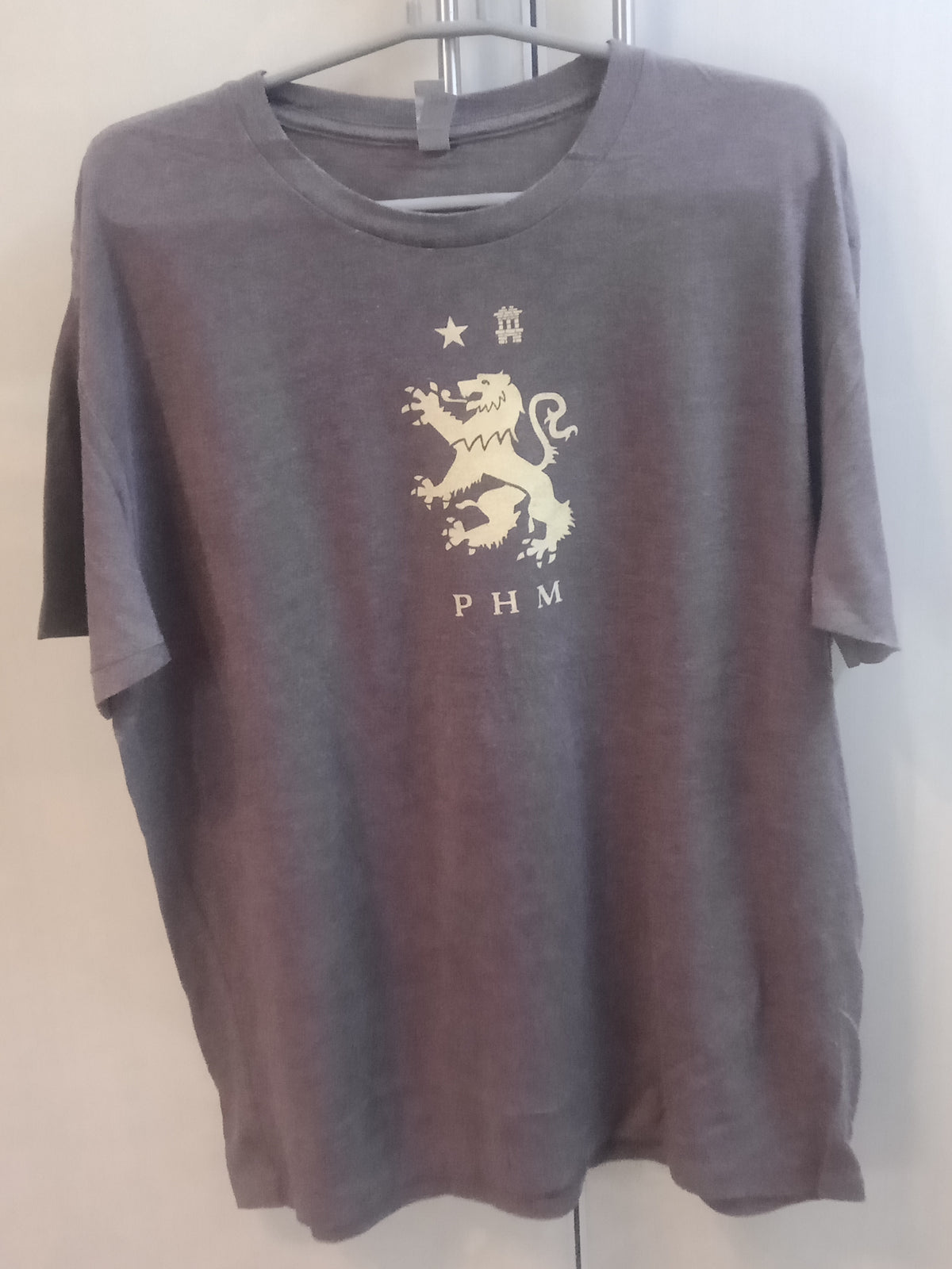 Next Level Large size Men's T-shirt