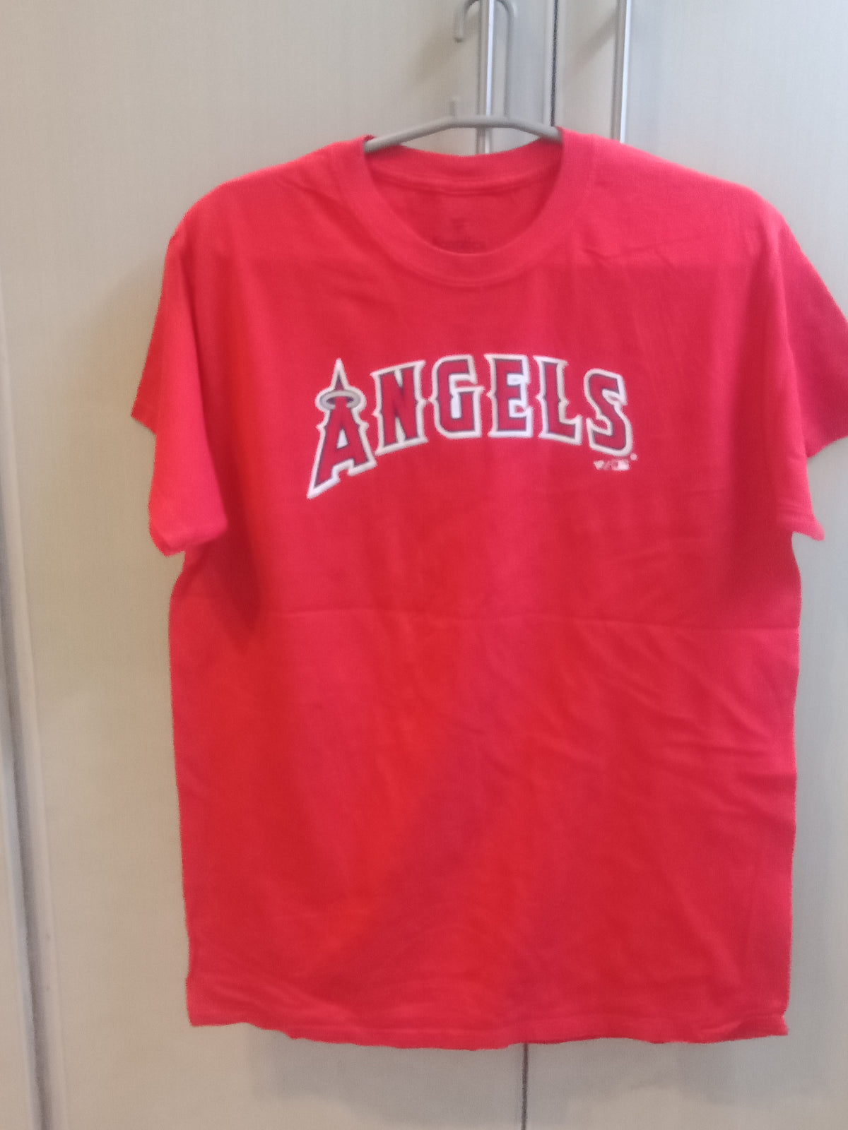 Fanatic Medium Size Men's T-shirt