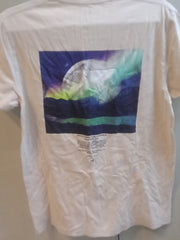 Hollister Small Size Men's T-shirt