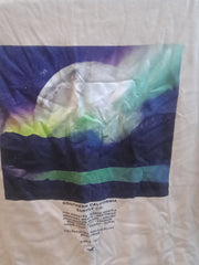 Hollister Small Size Men's T-shirt