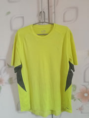 Champions Large Size Men's T-shirt